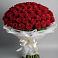 Букет 101 Красная роза Блэк Мэджик в Русской Поляне