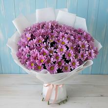 Букет цветов из:  Хризантемы в Русской Поляне