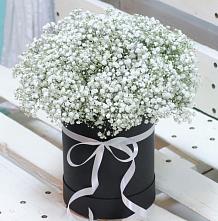 Цветочная композиция из Гипсофила в шляпной коробке #REPLACE_PRED# Русской Поляне