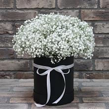 Цветочная композиция из Гипсофила в шляпной коробке #REPLACE_PRED# Русской Поляне